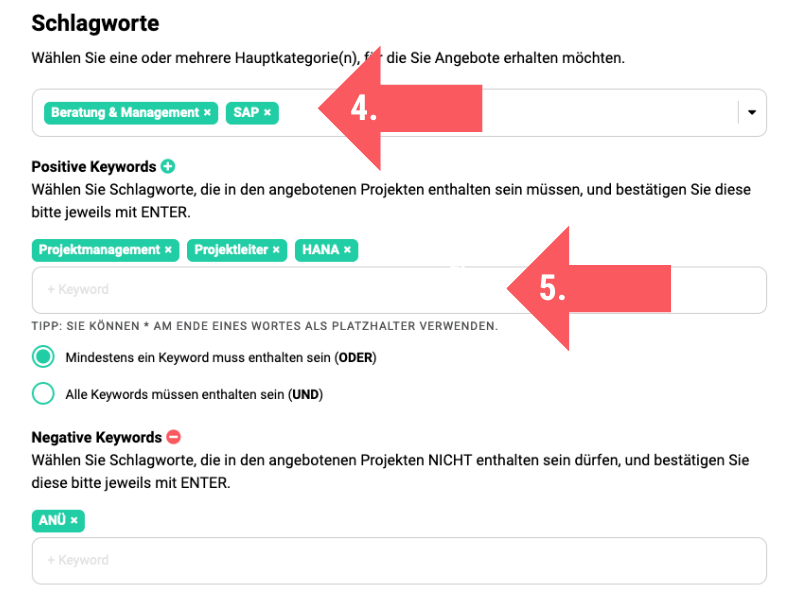 Screenshot von den Schritten 4 - 5 zur Konfiguration des Projektagenten auf freelancermap.de